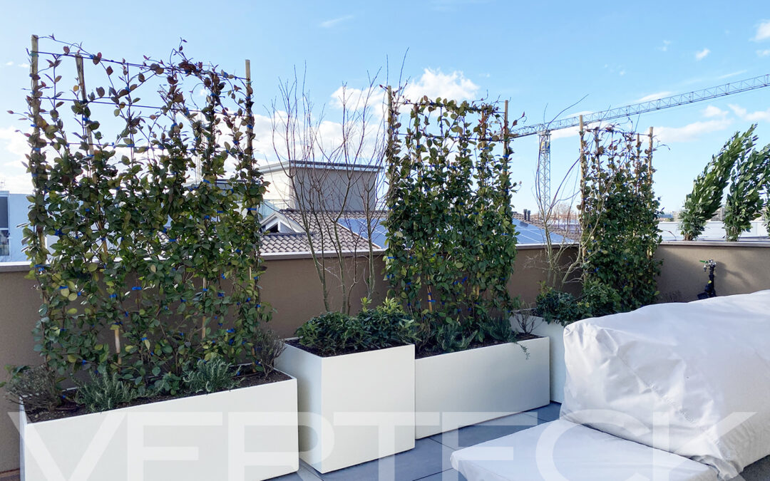 Un terrazzo giovane a cielo aperto