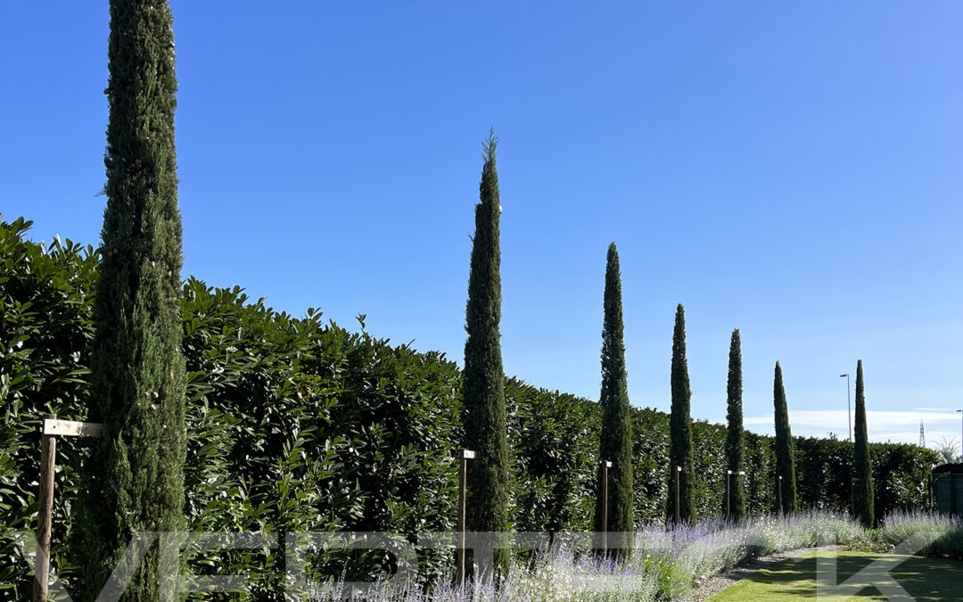 Tutto in pieno stile mediterraneo