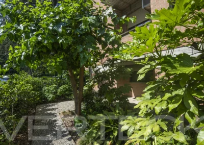 Grazioso giardino condominiale ad uso esclusivo