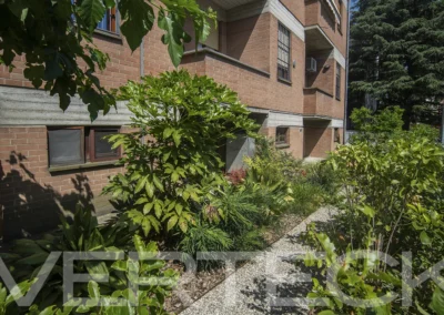 Grazioso giardino condominiale ad uso esclusivo