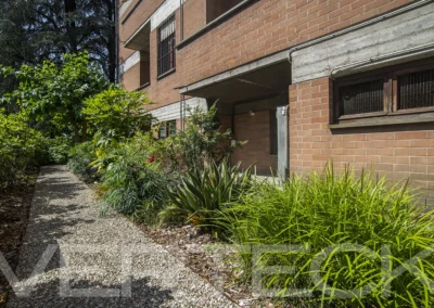 Grazioso giardino condominiale ad uso esclusivo