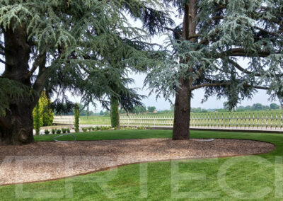 Alti cedri e fontana, risorge il giardino d’azienda