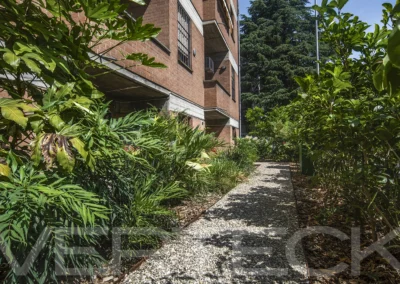 Grazioso giardino condominiale ad uso esclusivo, funzionale e a bassa manutenzione