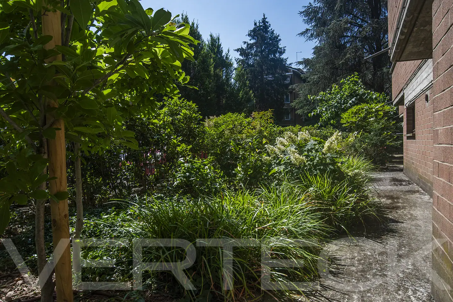 Grazioso giardino condominiale ad uso esclusivo
