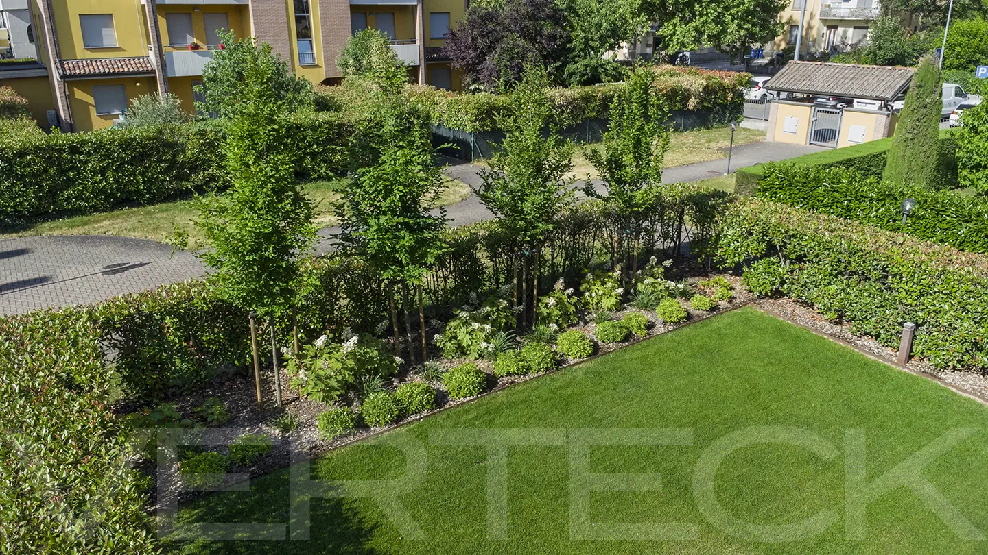 Vista dal drone giardino