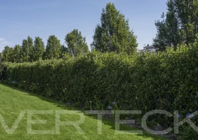 Villa moderna con giardino di pregio