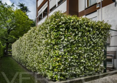 Un giardino nel giardino