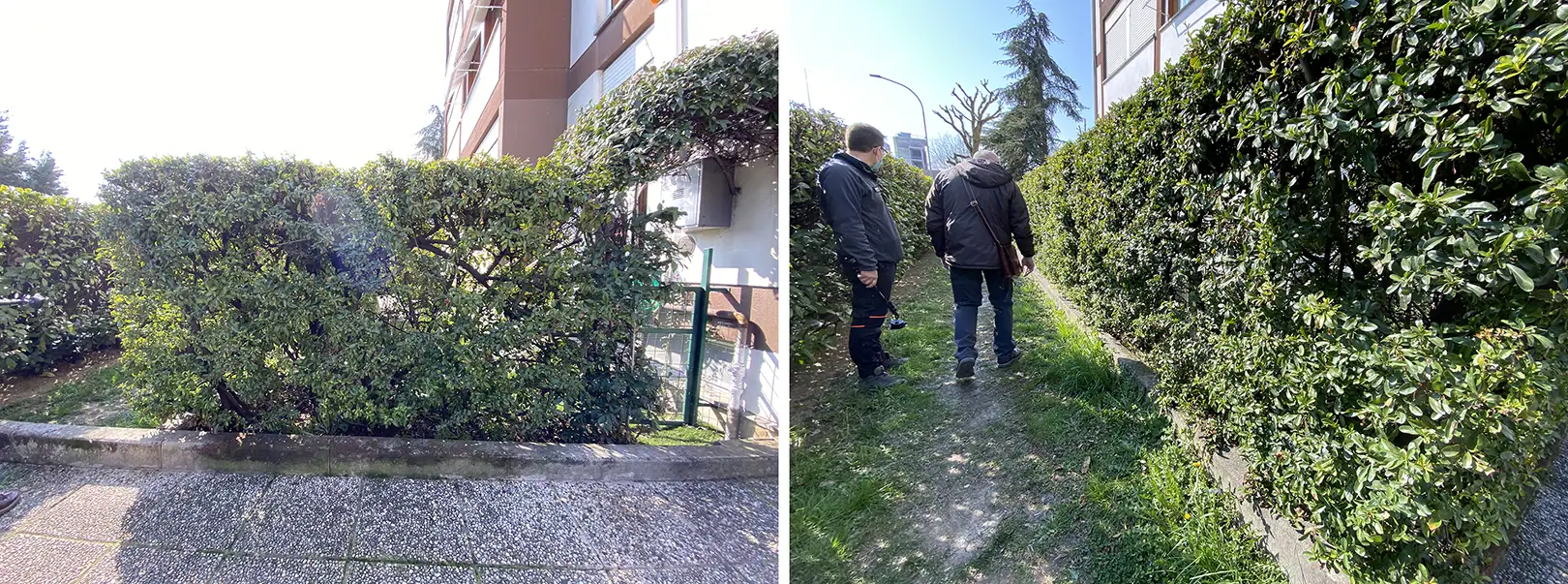 Un giardino nel giardino